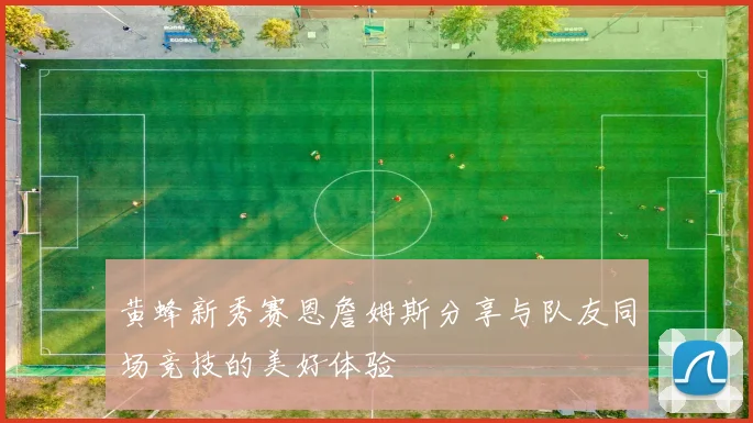 黄蜂新秀赛恩詹姆斯分享与队友同场竞技的美好体验