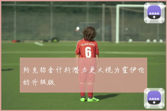 约克称舍什科潜力更大视为霍伊伦的升级版