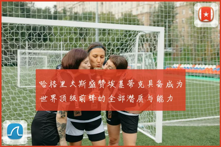 哈格里夫斯盛赞埃基蒂克具备成为世界顶级前锋的全部潜质与能力